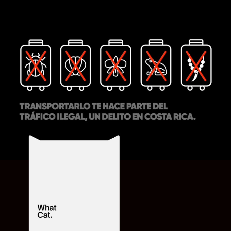 What You Carry CR: una campaña con una tarea clara